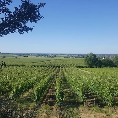 Au Creux Des Vignes Vendégház Les Verchers-sur-Layon