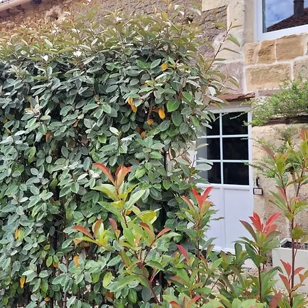 Vendégház Au Creux Des Vignes 3*